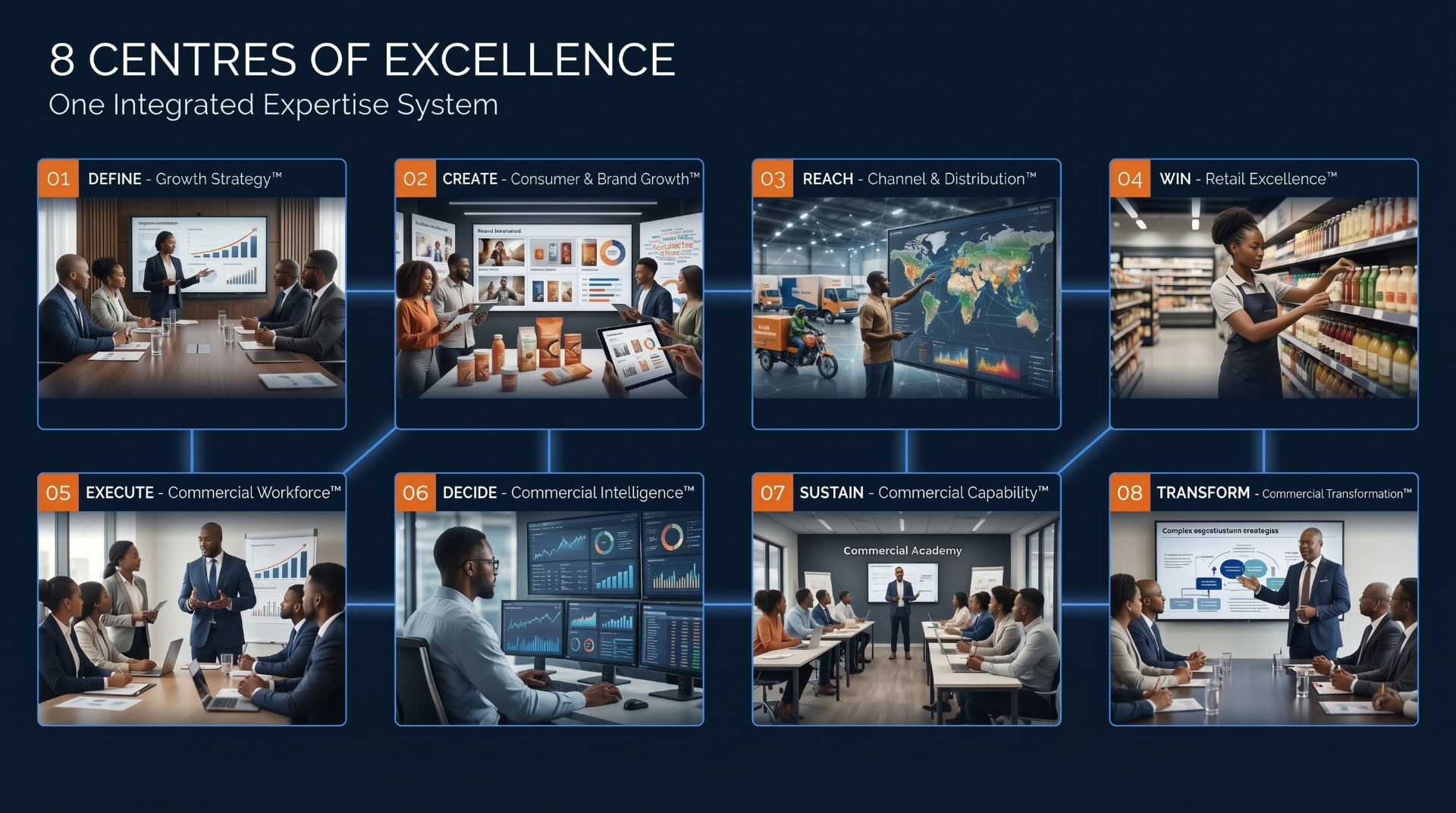 D-CHANNEL 8 Centres of Excellence — one integrated expertise system